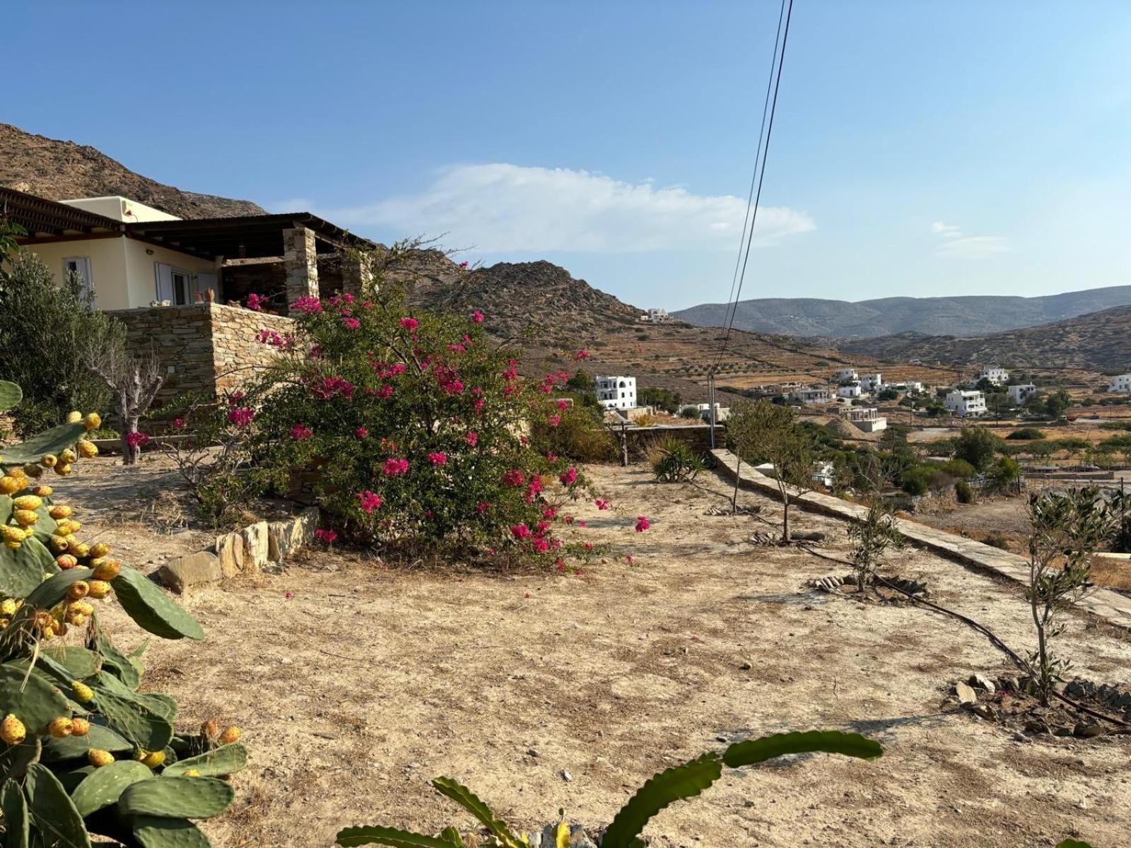 Villa Euphrosyne Chora Exterior foto