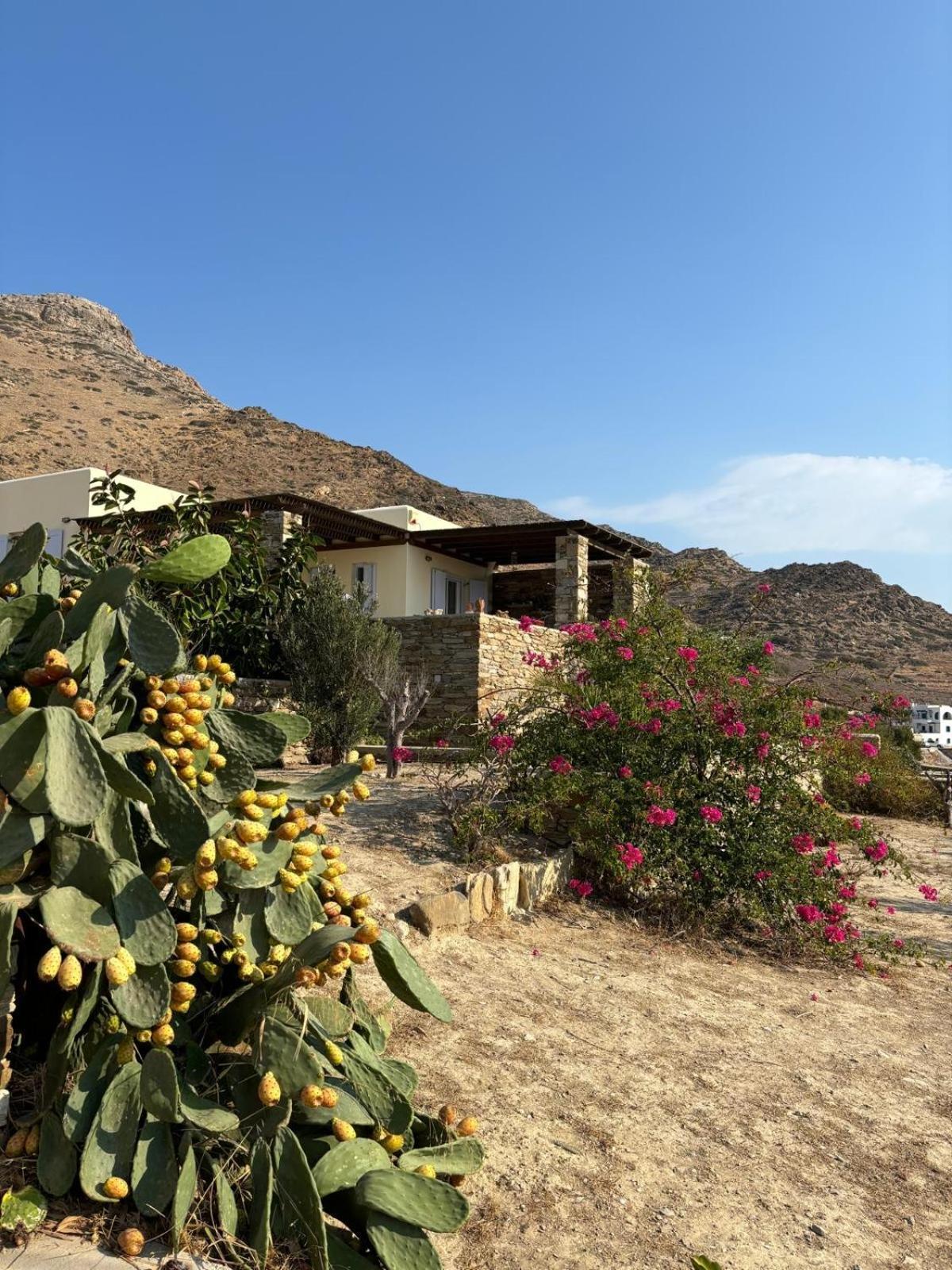 Villa Euphrosyne Chora Exterior foto